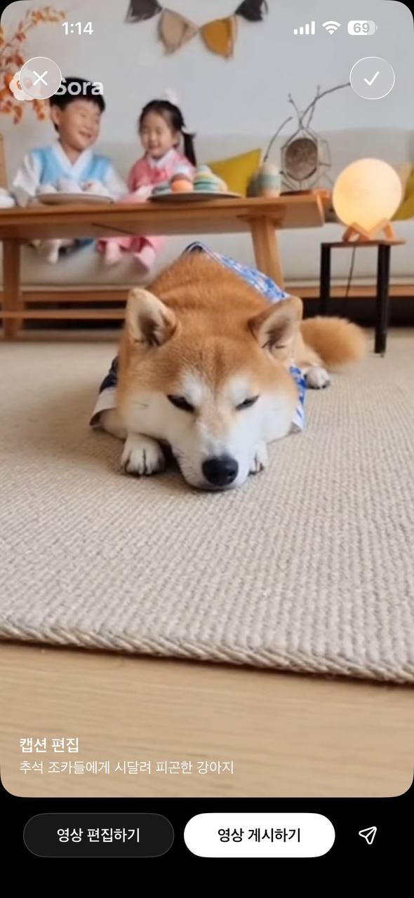 7b810a8c5072537c5d81edb039c03b5ch3OD.jpeg
