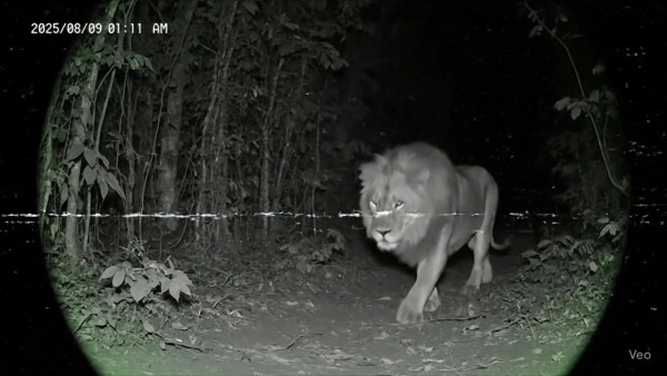 Auto-generated video thumbnail