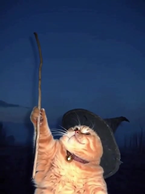 Auto-generated video thumbnail