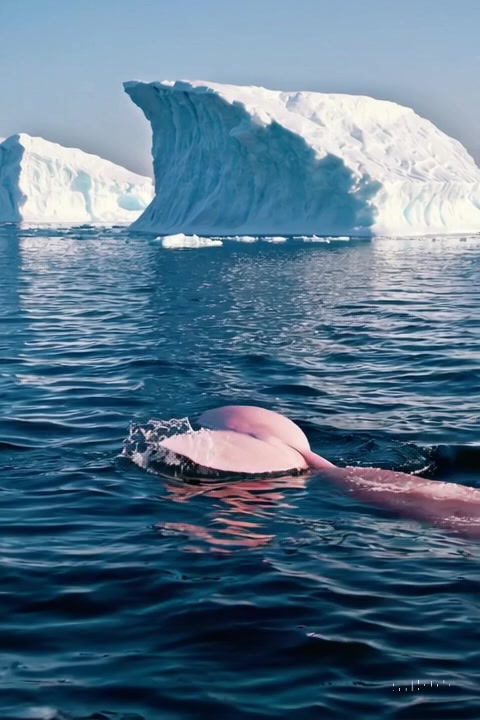 Auto-generated video thumbnail