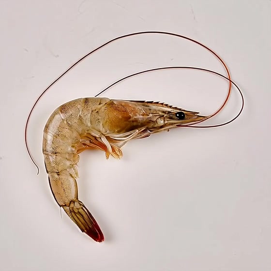 Auto-generated video thumbnail