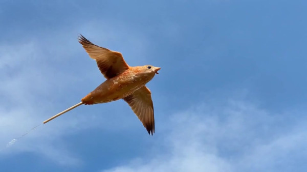 Auto-generated video thumbnail