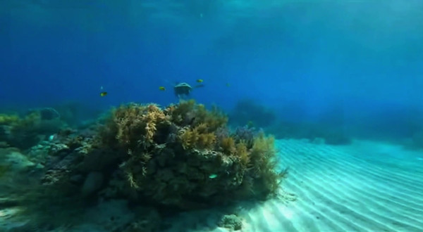 Auto-generated video thumbnail