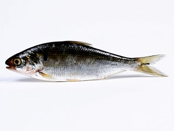 Auto-generated video thumbnail