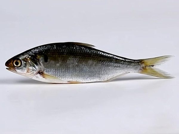 Auto-generated video thumbnail