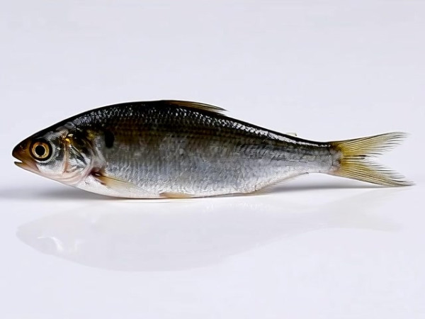 Auto-generated video thumbnail