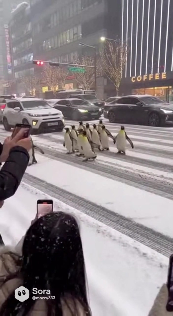 Auto-generated video thumbnail