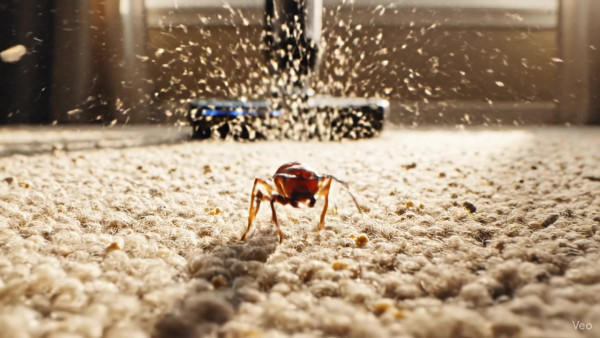 Auto-generated video thumbnail