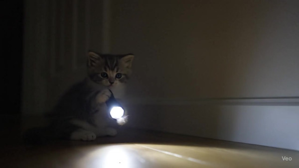 Auto-generated video thumbnail